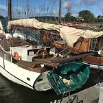 Sanddorn Wg 27 *