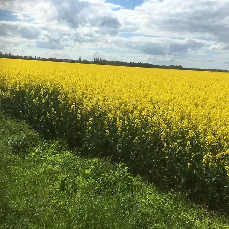 Lägenhet Sanddorn Wg 27 *