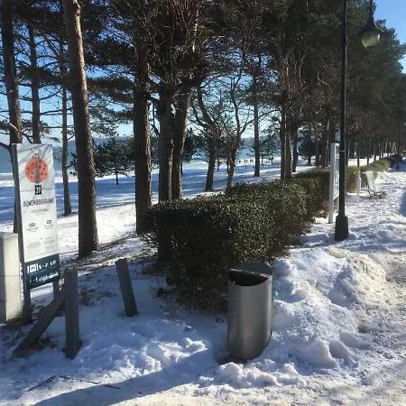 Sanddorn Wg 27 Binz