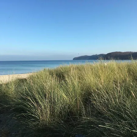 Sanddorn Wg 27 Binz