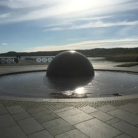 Sanddorn Wg 27 *