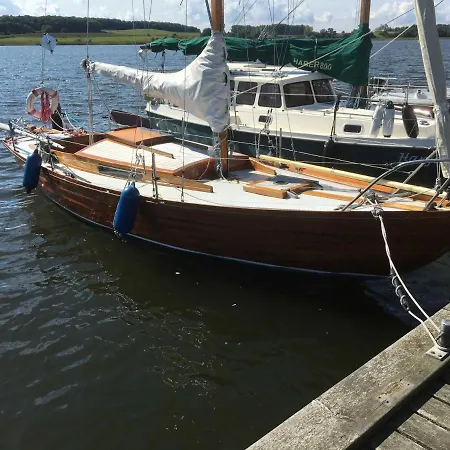 Sanddorn Wg 27 *